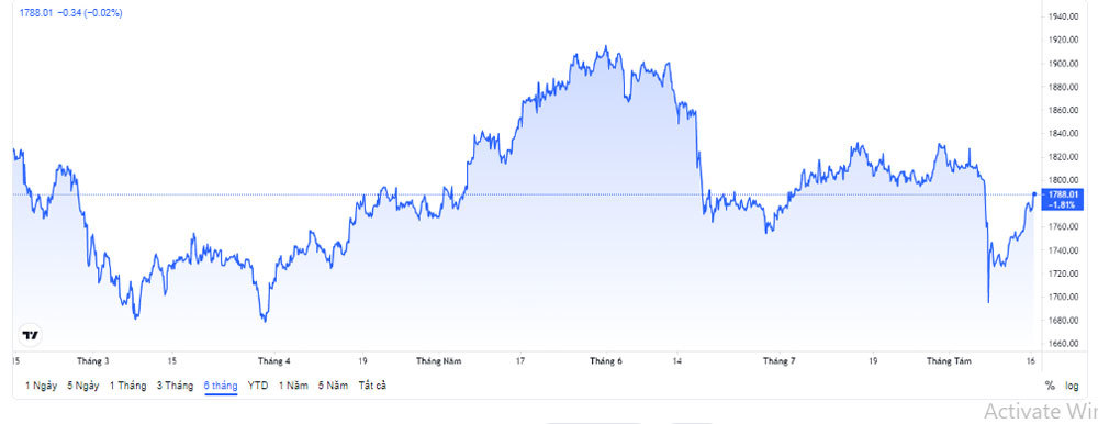 bieu-do-bien-dong-gia-vang-the-gioi-nhung-thang-trong-nam-2021