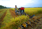 Ministry urges 'green' waterway passage for rice from Mekong Delta