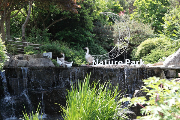 Cảm nhận hơi thở ‘rừng xanh’ ở công viên Thiên nhiên Daegu