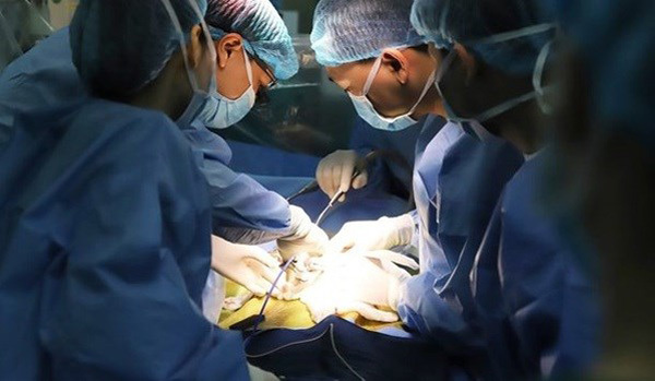 Vietnam successfully performs first liver transplant on child patient with late-stage cancer