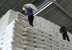 Đề xuất hỗ trợ hơn 130.000 tấn gạo cứu đói cho 8,6 triệu dân