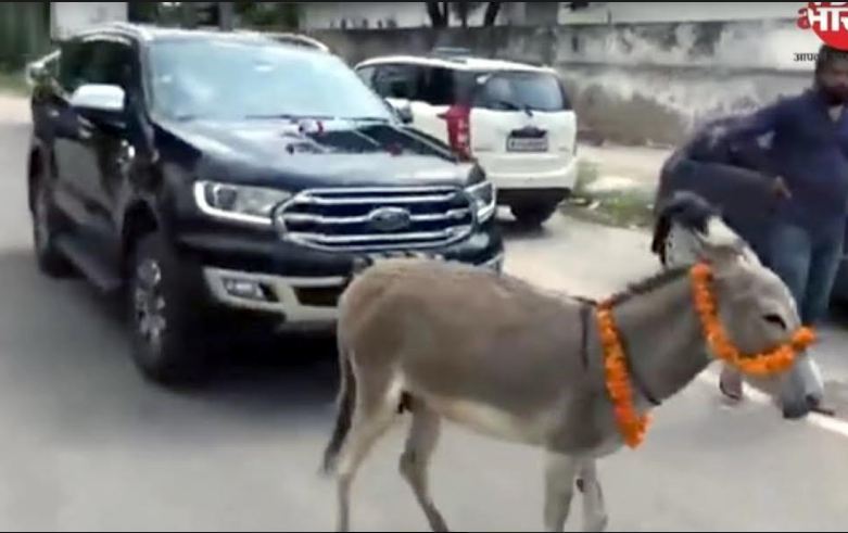 Chủ xe Ấn Độ cho lừa kéo xe Ford đến đại lý biểu tình vì lỗi liên tục