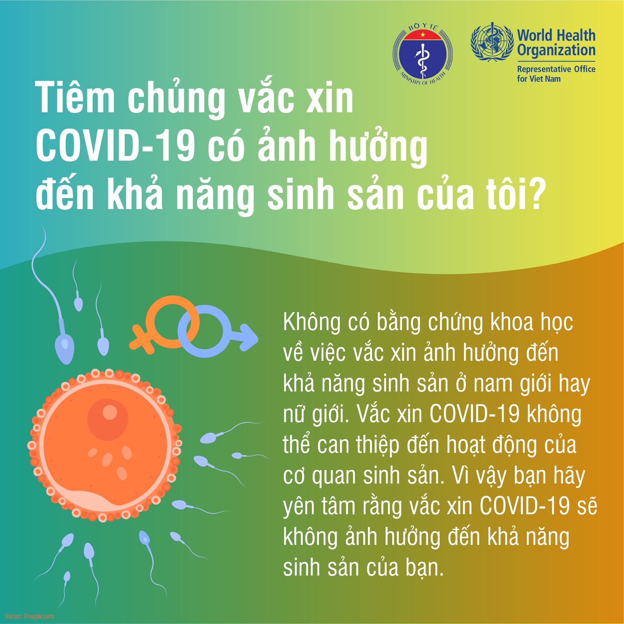 Tiêm vắc xin phòng Covid-19 có ảnh hưởng đến khả năng sinh sản?