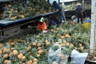 VIETNAM BUSINESS NEWS