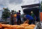 Bình Dương cấp hơn 8.000 tấn gạo cho dân tại 11 phường ‘vùng đỏ’