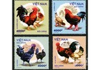 Stamps on "Vietnam's native chickens" to be issued