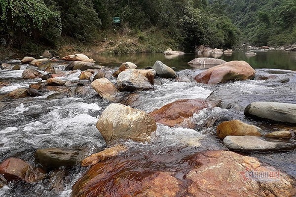 Người đàn ông nghi bị người tình sát hại, thi thể nằm bên bờ suối