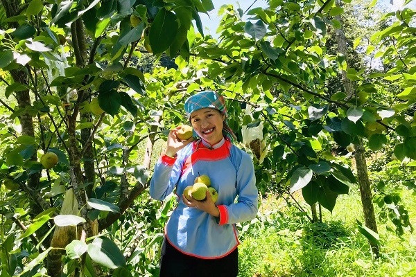 Sa Pa woman gives unconventional tour amid the epidemic