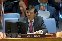 Vietnam calls on parties in Yemen to accept UN-led peace proposal