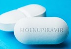 Hơn 70.000 liều thuốc Molnupiravir hỗ trợ điều trị F0 tại nhà