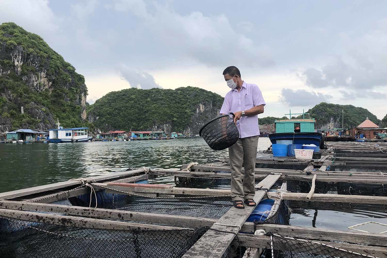Hải Phòng: 40 chủ hộ nuôi trồng thủy sản tại Cát Hải cam kết tháo dỡ lồng bè
