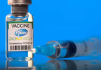 Pfizer phát triển vắc xin chuyên chống biến thể Delta