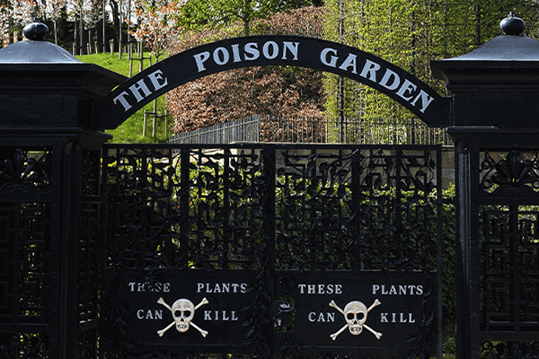 Khám phá khu vườn độc dược 