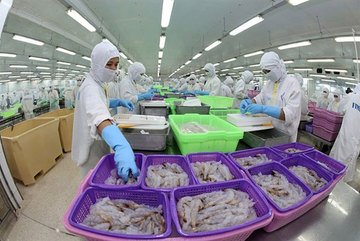 COVID-19 impact starts reflecting in seafood companies' results from August: VDSC