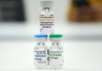 Vắc xin Nanocovax được Hội đồng đạo đức thông qua, đang chờ cấp khép khẩn cấp