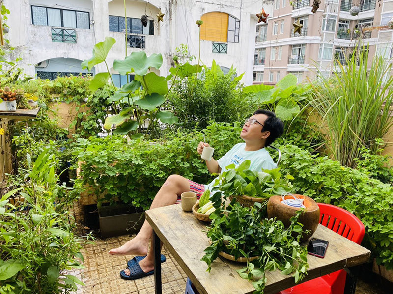 Trồng rau, nuôi chim trên sân thượng để thư giãn trong dịch