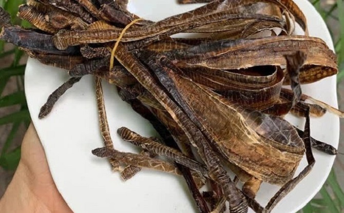 Sự thật thông tin dùng giun đất có tác dụng phòng chống Covid-19