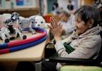 Robot bầu bạn với người già cô đơn tại Nhật Bản