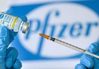 Pfizer lên tiếng về thông tin một doanh nghiệp VN nhập 15 triệu liều vắc xin