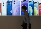 Tin 'nóng' về iPhone 13 khiến cổ phiếu Globalstar tăng chóng mặt