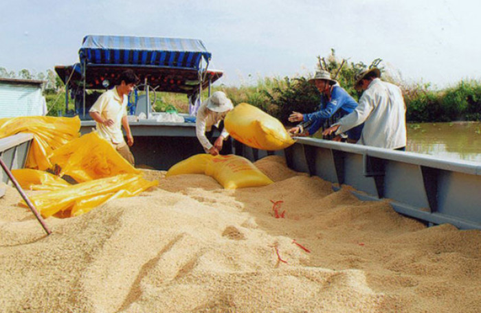 Ngân hàng tiếp tục giúp ngành lúa gạo tháo gỡ khó khăn do ảnh hưởng của dịch bệnh