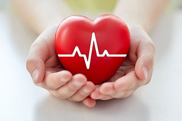 Bệnh viện ĐH Y Dược TP. HCM hợp tác cùng Novartis đào tạo quản lý suy tim