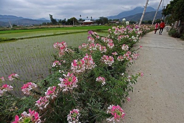 Từ văn hóa làng xã đến giá trị của hội nhập