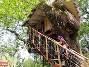 Sin Suoi Ho a “golden spring” in Lai Chau