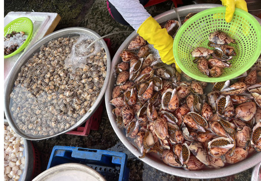 Hải sản giảm giá một nửa, thịt gà 6.000 đồng/kg vẫn ế ẩm