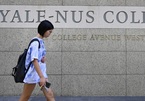 Sinh viên sốc khi đại học danh tiếng Singapore tuyên bố đóng cửa