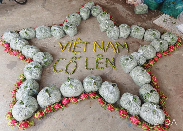 Sao Việt ‘Góp triệu ngôi sao’ gây quỹ hỗ trợ tiểu thương TP.HCM