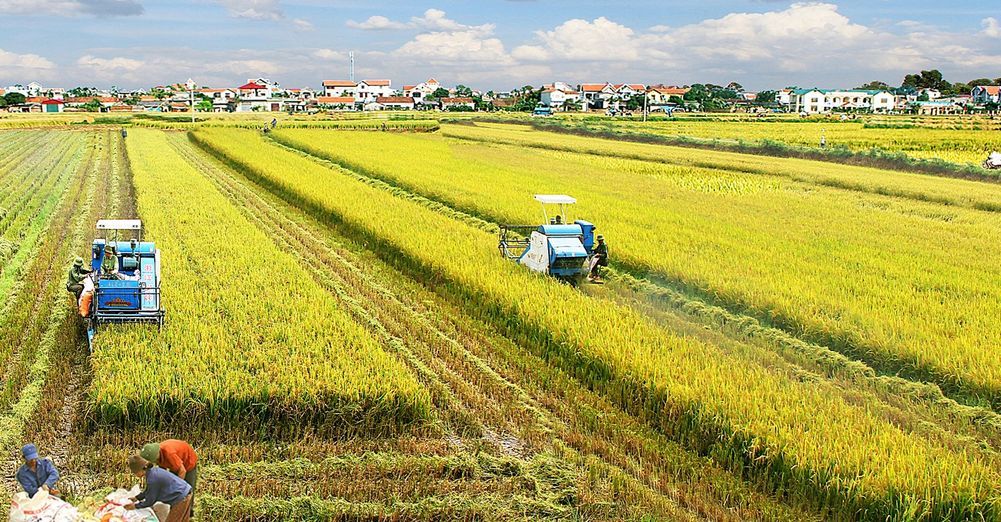 Thái Bình: Xây dựng các giải pháp dài hơi để ổn định đời sống người dân, đảm bảo các mục tiêu phát triển