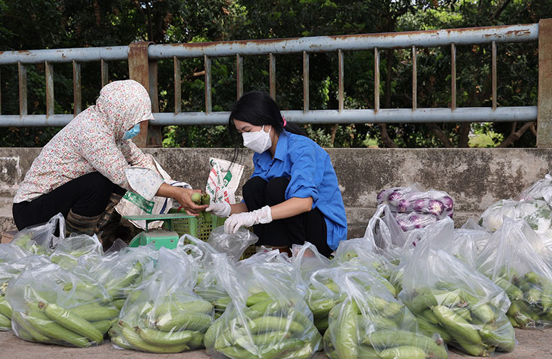 Thủ tướng: Hỗ trợ kết nối đầu ra cho nông sản ở nơi giãn cách xã hội