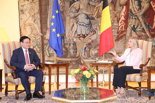 Chủ tịch Quốc hội Vương Đình Huệ hội đàm với Chủ tịch Hạ viện Vương quốc Bỉ