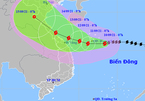 Bão số 5 hướng vào Thanh Hóa - Quảng Ngãi, test nhanh Covid-19 nếu sơ tán dân