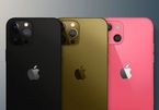 iPhone 13 có nhiều nhất sáu màu?