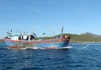 Ba tàu cá với 23 lao động Thanh Hóa đang bị mất liên lạc