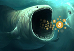 “Cá mập” Bitcoin tỉnh giấc đe dọa thị trường tiền mã hóa?