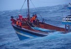 Cứu 13 thuyền viên gặp sự cố trên đường tránh bão ở Quảng Ngãi