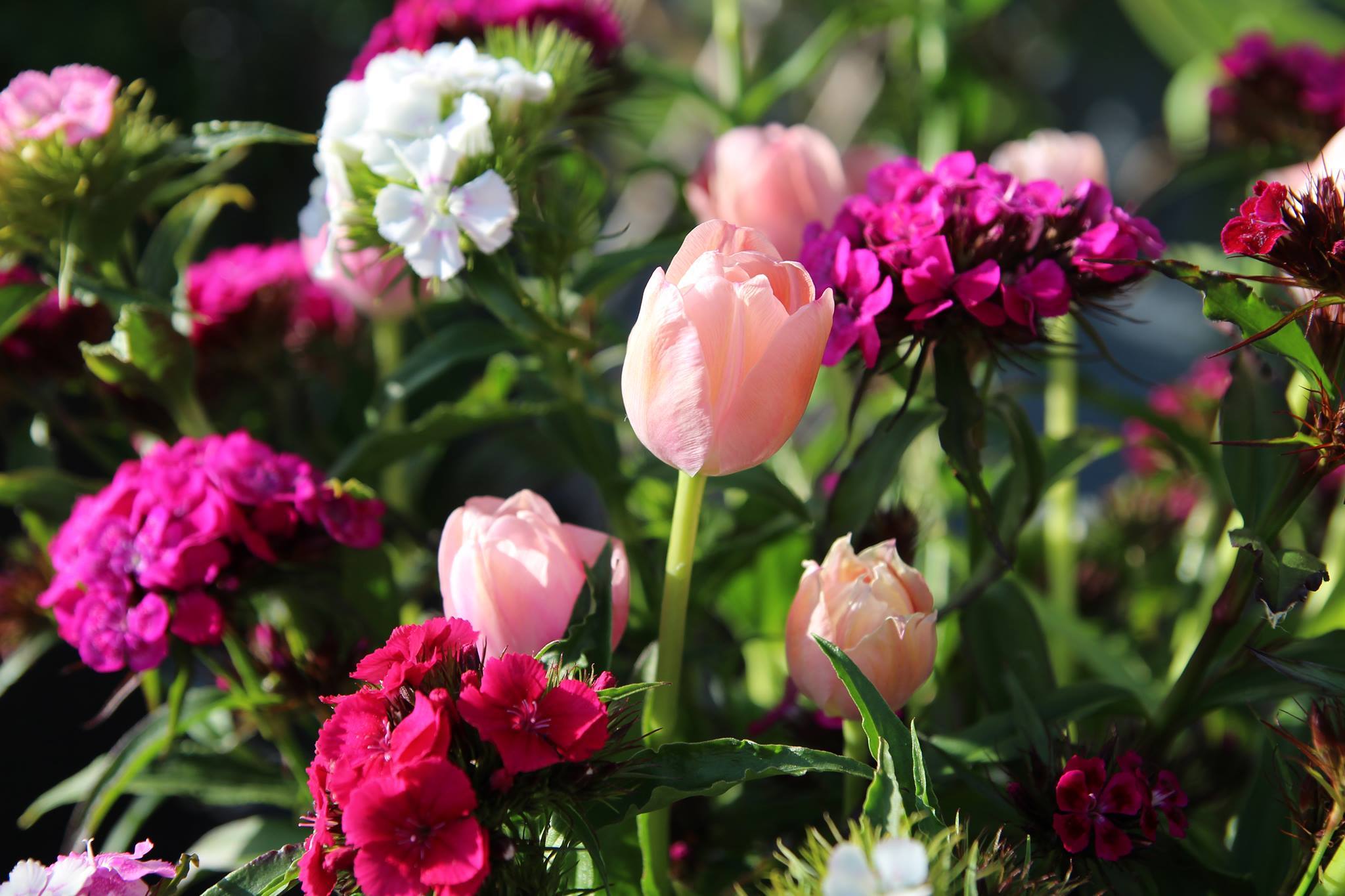 5 cách 'bớt lửa' khi vợ chồng khắc khẩu