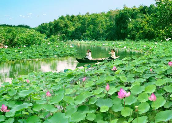 “Thuần khiết như Hồn Sen”: Đồng Tháp tạo ấn tượng đẹp trong lòng du khách