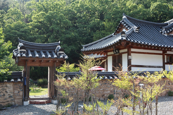 Daegu - nơi giao thoa giữa truyền thống và hiện đại