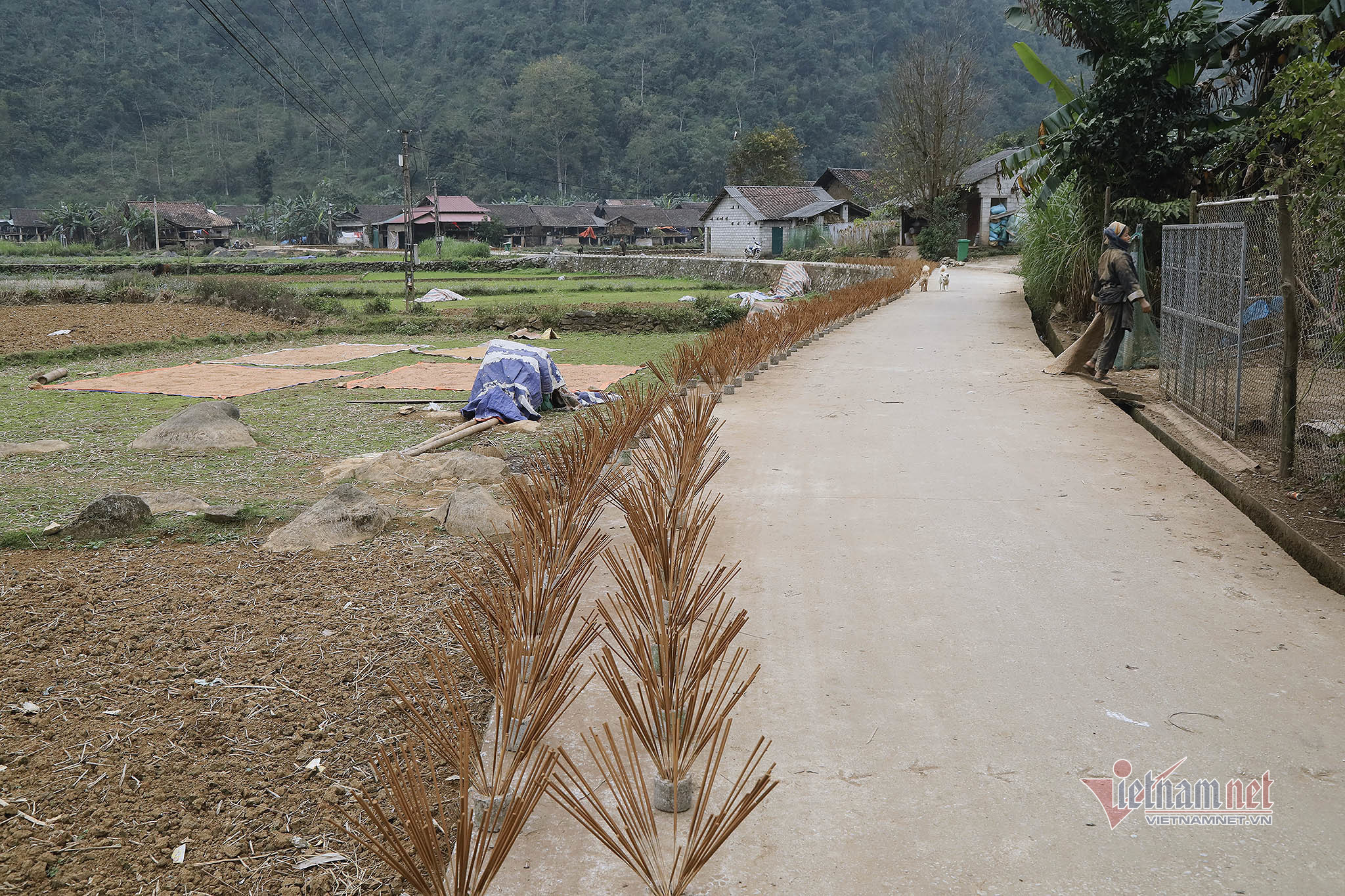 Làng làm hương trăm tuổi của người Nùng An