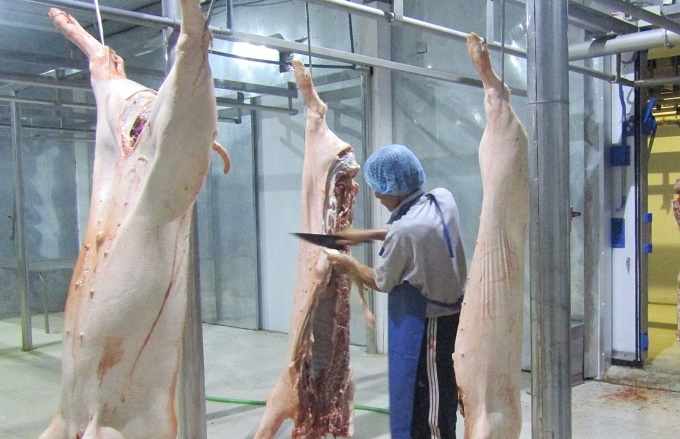 Hòa Bình: Tăng cường nhiều biện pháp bảo vệ đàn gia súc trước nguy cơ dịch bệnh dễ bùng phát