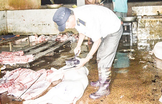 Quảng Trị: Quản chặt công tác giết mổ, tiêu thụ động vật, góp phần đảm bảo an toàn dịch bệnh cho đàn gia súc