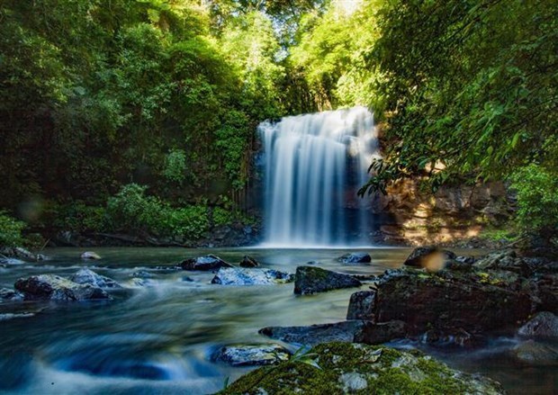 Vietnam’s biosphere reserves earn UNESCO recognition