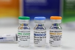 Nano Covax’s data for 'direct evaluation' of protective efficacy not available