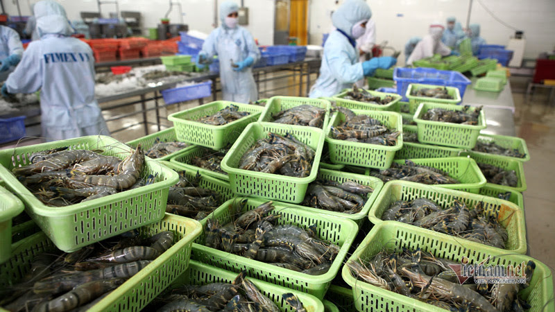 New mindset needed to reverse production stagnation