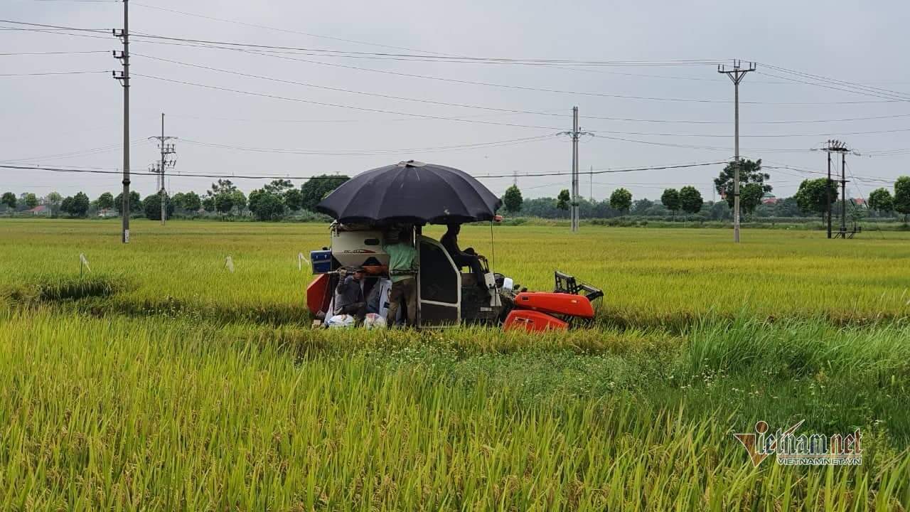 Huyện duy nhất không có F0 ở Thủ đô gỡ chốt kiểm soát dịch Covid-19