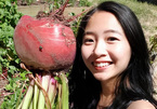 Vợ chồng Việt ở Úc trồng toàn cây trái khổng lồ trên mảnh đất khô cằn